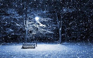 Картинка зима, вечер, фонарь, ветки, снег, иней, лавочка, свет, деревья