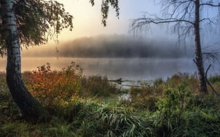 Обои осень, природа, туман, трава, озеро, берега, пейзаж, деревья, утро