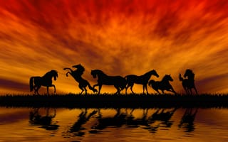 Картинка лошади, отражение, небо, вода, силуэты, трава, зарево
