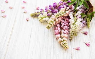 Картинка цветы, wood, pink, lupine, flowers, люпины