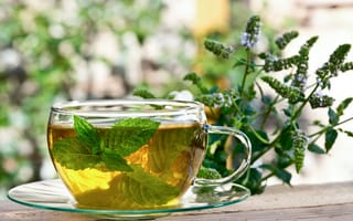 Картинка чашка, мята, настой, Травяной Чай