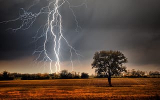 Картинка grass, storm, Lightning, clouds, landscape, farm, tree, plants, field, nature
