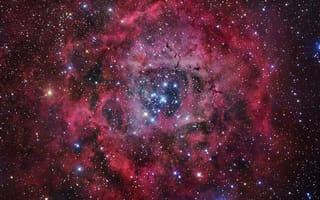 Обои Туманность, rosette nebula, звезды