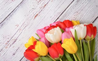 Картинка цветы, colorful, tulips, тюльпаны, spring, wood, flowers