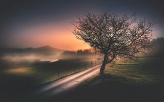 Картинка дорога, ночь, туман
