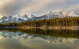 Картинка лес, Rocky Mountains, Альберта, Национальный парк Банф, горы, отражение, Alberta, озеро, Озеро Херберт, Banff National Park, Скалистые горы, Canada, Herbert Lake, Канада