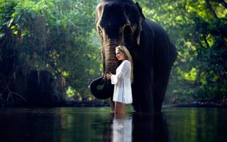Картинка Serene, слон, девушка, в воде