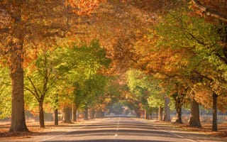 Картинка город, Autumn colour, australia, Tunnel To Paradise, улица, Victoria