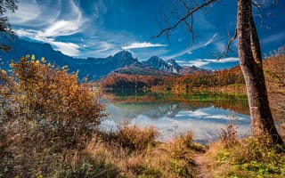 Картинка осень, горы, природа, дерево, Австрия, озеро, кусты, отражение, пейзаж, Almsee, Альмзе