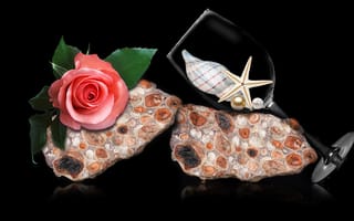 Картинка flower, cups, Quarzt, pearls
