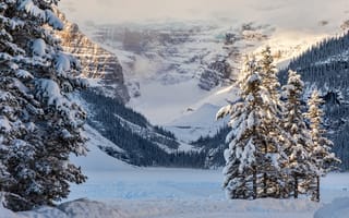 Картинка зима, снег, горы, Канада, деревья, озеро, ели, Альберта
