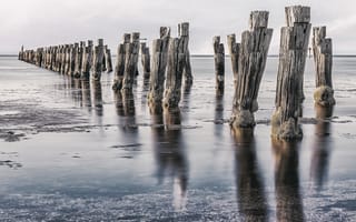 Картинка Australia, Bellarine Peninsula, Clifton Springs