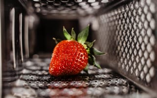 Картинка berry, macro, close-up, mesh, red, metal, strawberry, fruit, food, 5k hd, blur, bokeh