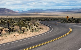 Картинка United States, California, Joshua Tree National Park, Pinto Wye