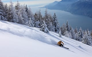 Обои лыжник, экстрим, спуск, лыжи, снег