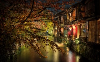 Картинка ночь, освещение, Киото, ветки, канал, Япония, дома, город