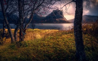 Картинка осень, вода, пейзаж, деревья, Норвегия, травы, горы, тучи, природа