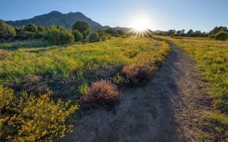 Картинка солнце, утро, Prescott, США, Arizona, Аризона, Granite Mountain