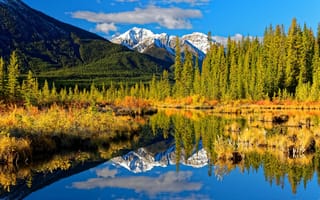 Картинка осень, Канада, Rocky Mountains, отражение, лес, Альберта, Banff National Park, Alberta, Canada, горы, озеро, Национальный парк Банф, Скалистые горы