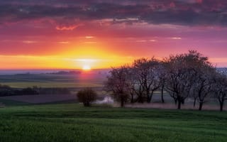 Картинка поле, закат, природа