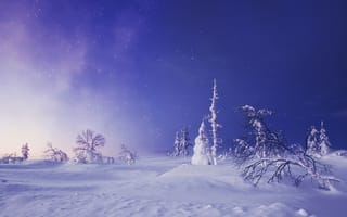 Картинка Lapland, Лапландия, деревья, зима, снег, Finland, сугробы, Финляндия, звёздное небо