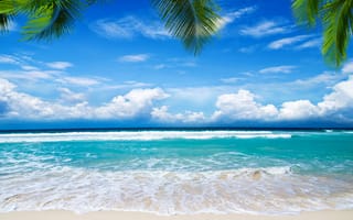 Картинка summer, песок, paradise, берег, пляж, beach, tropical, palms, море, sea, sand, пальмы, shore