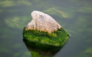 Картинка вода, камень, водоём, мох