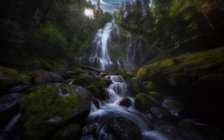 Картинка лес, ручей, Proxy Falls, водопад, Орегон, Водопады Прокси, каскад, мох, камни, Oregon