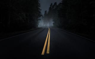 Картинка дорога, сумерки, асфальт, туман, лес