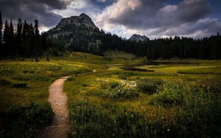 Картинка облака, деревья, природа, горы, Маунт-Рейнир, Национальный парк, США, заповедник, Mount Rainier, пейзаж, дорожка, тропинка