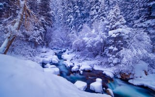Картинка зима, лес, река, снег, природа, мороз