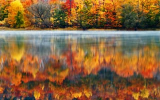 Картинка утро, Klaus Brandstaetter Photography, США, озеро, Нью-Гэмпшир, природа, Новая Англия, краски, лес
