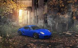 Картинка Porsche Cayman, stance, car, Evano Gucciardo, tuning, evog, blue