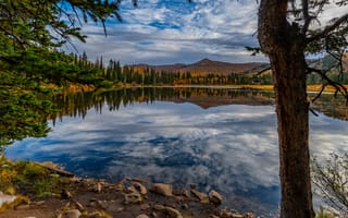 Картинка деревья, горы, озеро, отражение, Utah, Silver Lake, Юта, Серебряное озеро