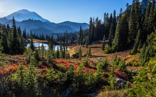 Картинка деревья, пейзаж, США, Mount Rainier, Tipsoo Lake, природа, озеро, Маунт-Рейнир, национальный парк, горы