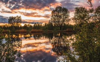 Картинка деревья, пейзаж, закат, природа, Владимир Васильев, отражение, пруд