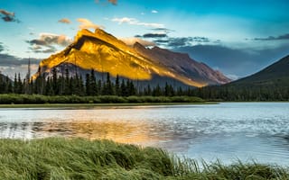 Картинка трава, деревья, Banff, восход, природа, Национальный парк, заповедник, Канада, горы, National Park, Альберта, утро, Банф, пейзаж, река