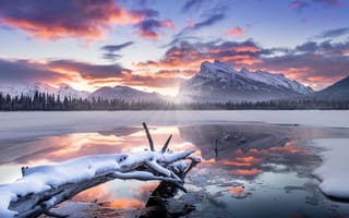Картинка зима, солнце, Канада, Banff, Банф, природа, снег, утро, горы, озеро, заповедник, национальный парк, пейзаж, коряга, Альберта, лучи