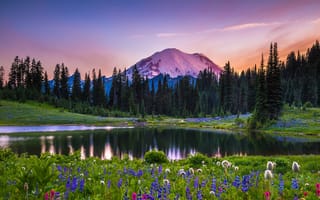Картинка деревья, пейзаж, национальный парк, США, природа, горы, озеро, Tipsoo Lake, закат, Маунт-Рейнир, цветы, луга, Mount Rainier