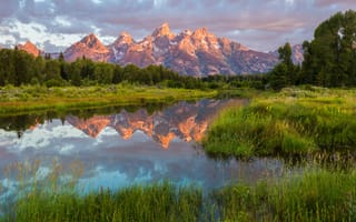 Картинка трава, вода, National Park, США, Национальный парк, природа, отражение, леса, Grand Teton, пейзаж, горы, утро, Гранд-Титон