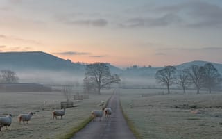 Картинка Англия, деревья, дорога, горы, утро, оыцы, туман, иней, природа