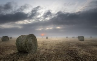 Картинка поле, сено, туман