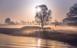 Картинка природа, туман, река