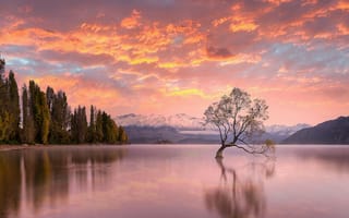 Картинка небо, Lake Wanaka, закат, New Zealand, деревья, Новая Зеландия, озеро