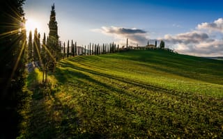 Картинка поле, Tuscany, Тоскана, закат, кипарисы, Италия, Italy, деревья