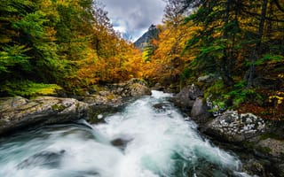 Картинка осень, лес, Арагон, Испания, Aragon, Spain, река, деревья