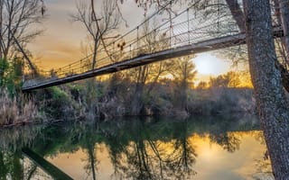 Картинка мост, река, дерево