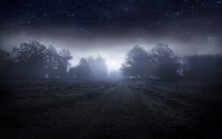 Картинка ночь, звезды, туман, деревья