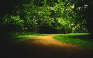 Картинка парк, аллея, скамья, тропинка
