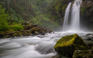 Картинка лес, река, North Cascades National Park, мох, Washington State, камни, штат Вашингтон, водопад